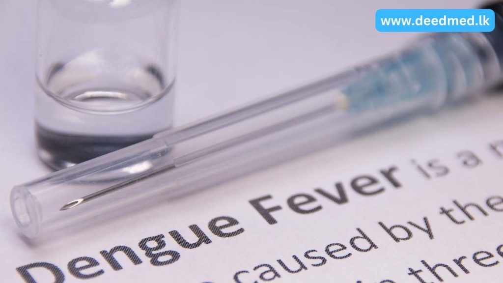 dengue-mosquito-bite-time-when-are-you-most-at-risk-deedmed-lives