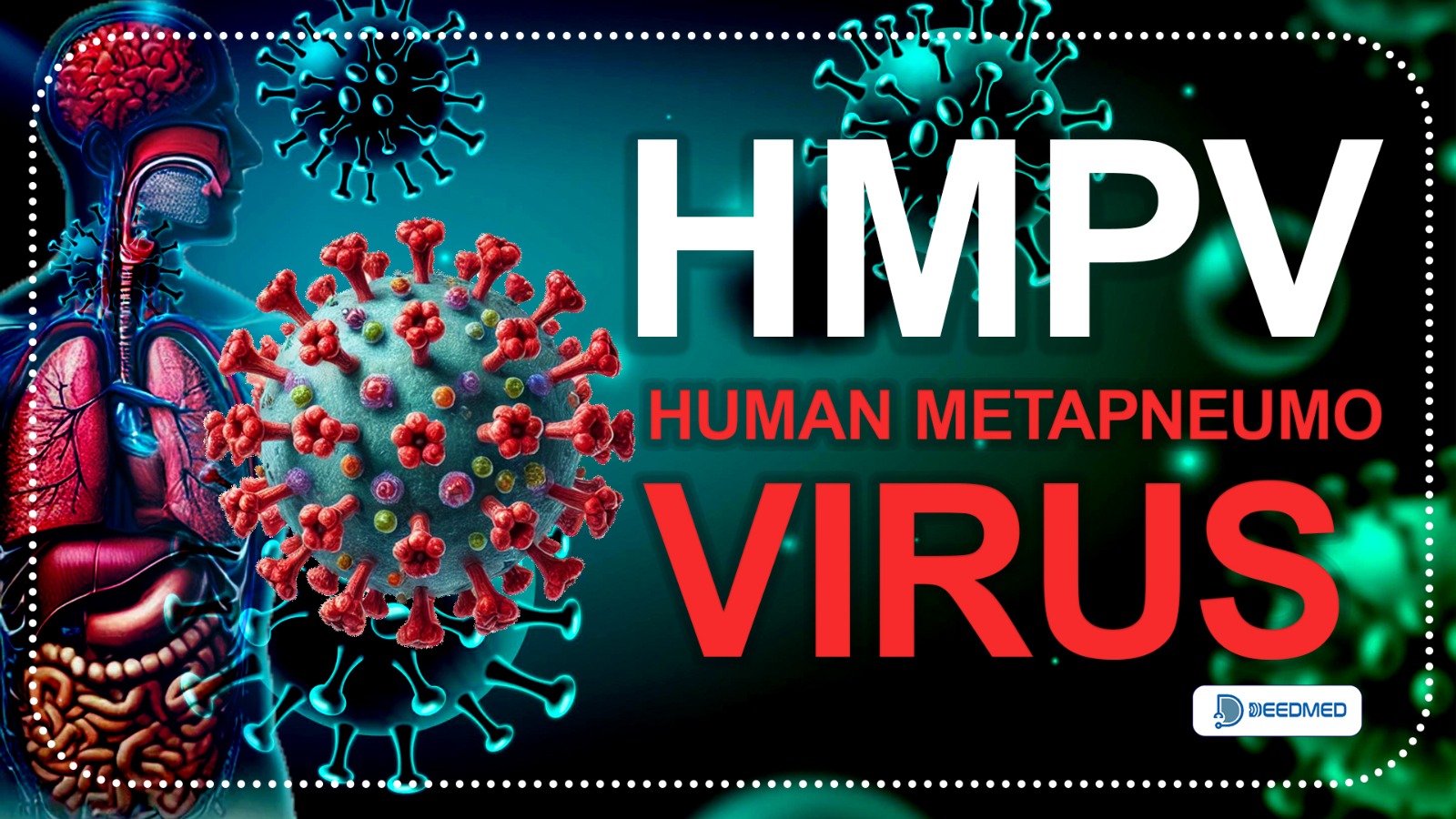  Understanding HMPV: A Growing Health Concern in China_post_image